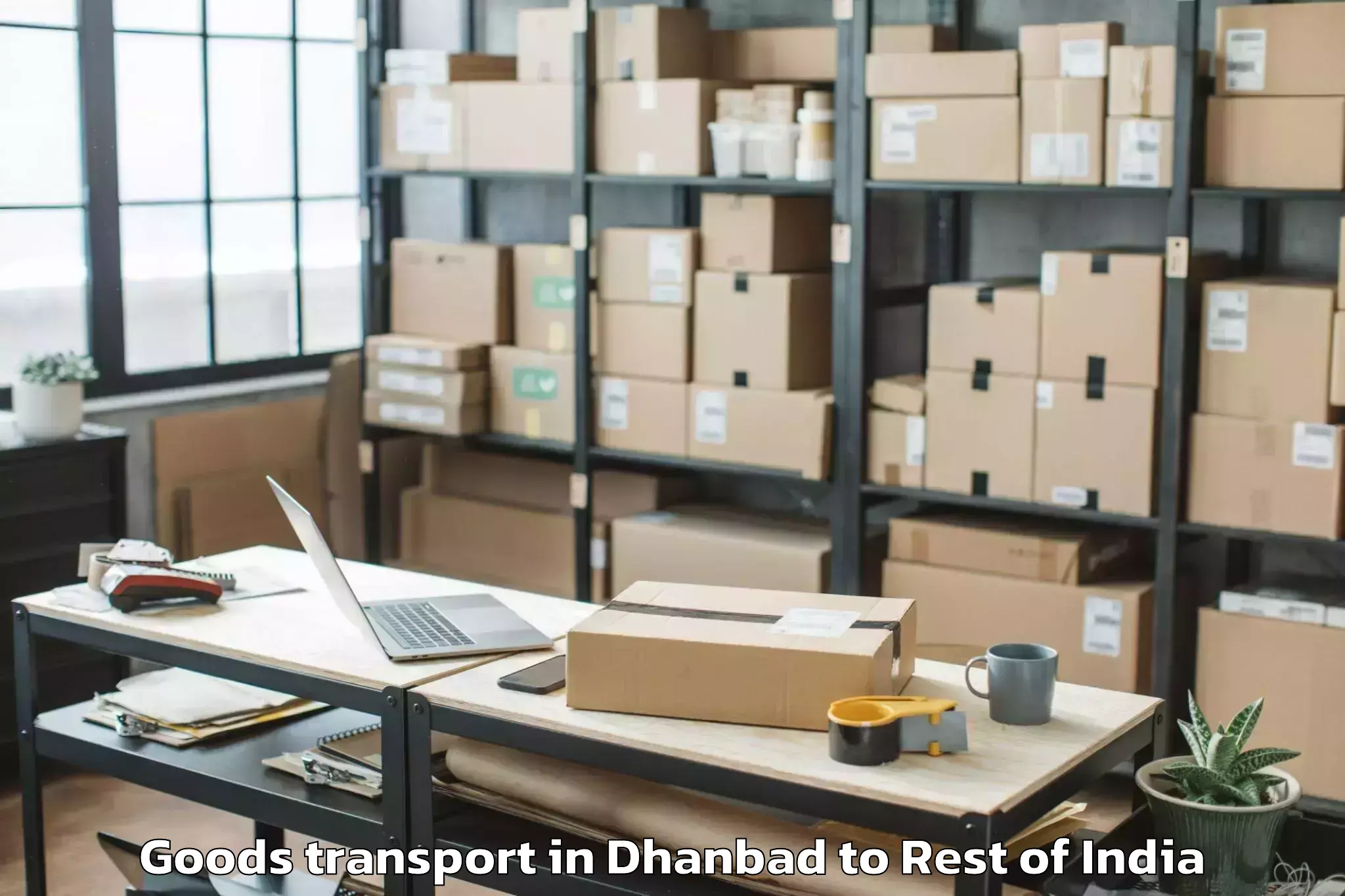 Professional Dhanbad to Revdar Goods Transport